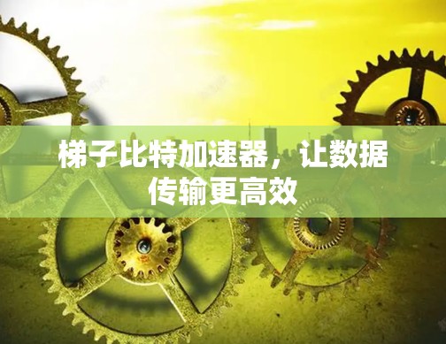 梯子比特加速器，让数据传输更高效