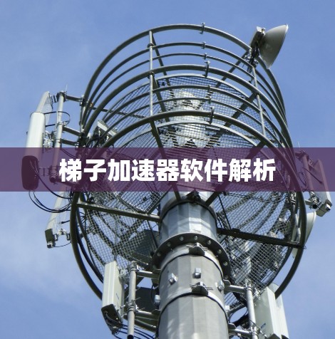 梯子加速器软件解析