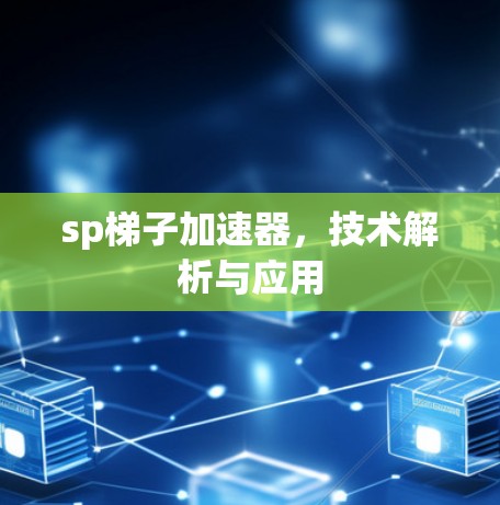 sp梯子加速器,技术解析与应用