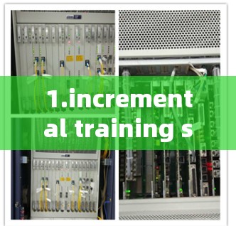 1.incremental training schema 1.incremental training schema