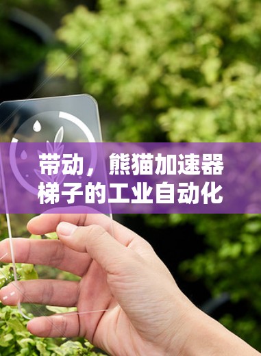 带动，熊猫加速器梯子的工业自动化时代启示
