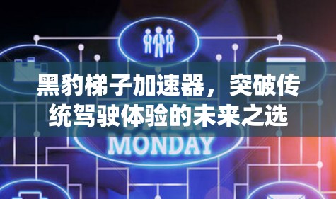 黑豹梯子加速器，突破传统驾驶体验的未来之选