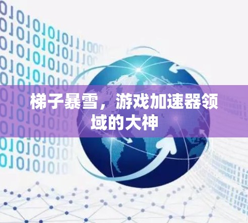 梯子暴雪,游戏加速器领域的大神