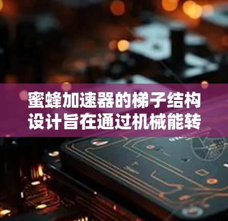 蜜蜂加速器的梯子结构设计旨在通过机械能转换为化学能，帮助蜜蜂加速飞行。以下是其关键结构特征