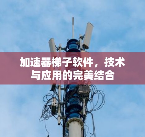 加速器梯子软件，技术与应用的完美结合