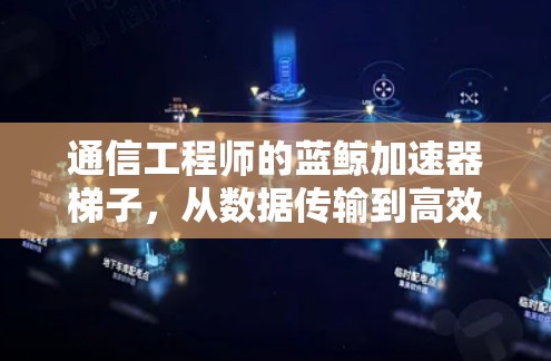 通信工程师的蓝鲸加速器梯子，从数据传输到高效通信的创新解决方案