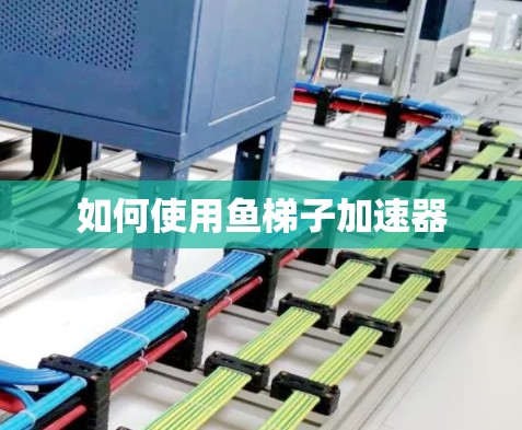 如何使用鱼梯子加速器 如何使用鱼梯子加速器