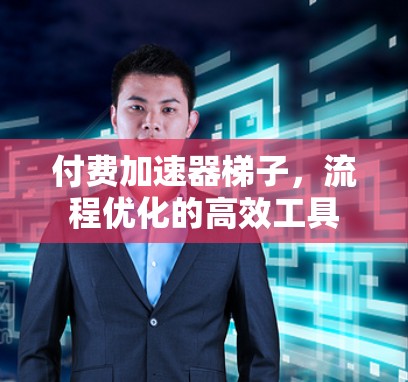 付费加速器梯子，流程优化的高效工具