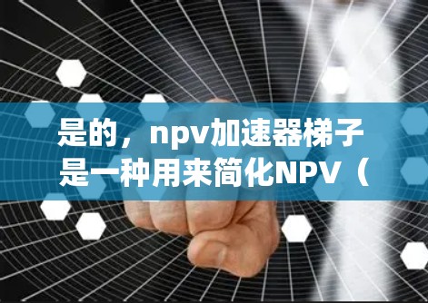 是的,npv加速器梯子 是一种用来简化NPV(净现值)计算工具,帮助人们更高效地表达NPV的计算公式。以下是几个常见的NPV加速器梯子的例子和解释 是的,npv加速器梯子 是一种用来简化NPV(净现值)计算工具,帮助人们更高效地表达NPV的计算公式。以下是几个常见的NPV加速器梯子的例子和解释