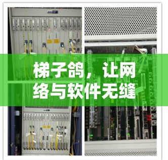 梯子鸽，让网络与软件无缝对接