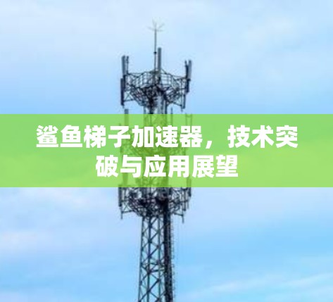 鲨鱼梯子加速器，技术突破与应用展望