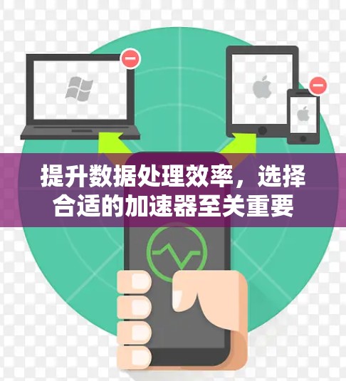 提升数据处理效率，选择合适的加速器至关重要