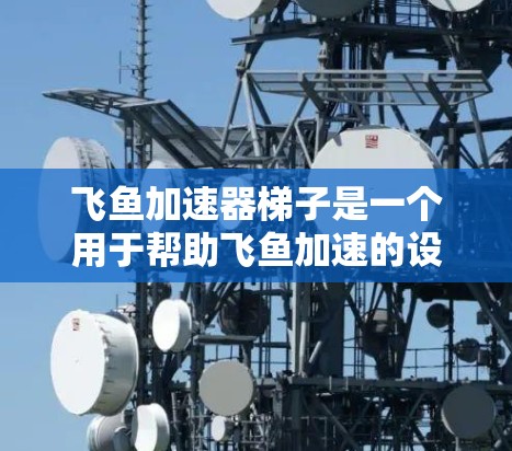 飞鱼加速器梯子是一个用于帮助飞鱼加速的设备，通常由梯子等支撑结构组成。以下是关于飞鱼加速器梯子的详细信息