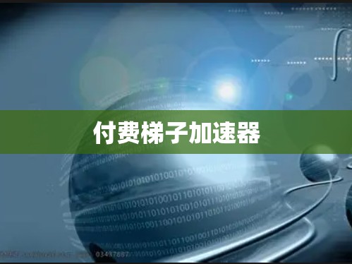 付费梯子加速器