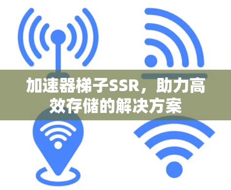 加速器梯子SSR，助力高效存储的解决方案