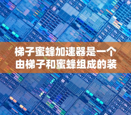 梯子蜜蜂加速器是一个由梯子和蜜蜂组成的装置，用于加速特定过程。以下是其主要特点和运作原理