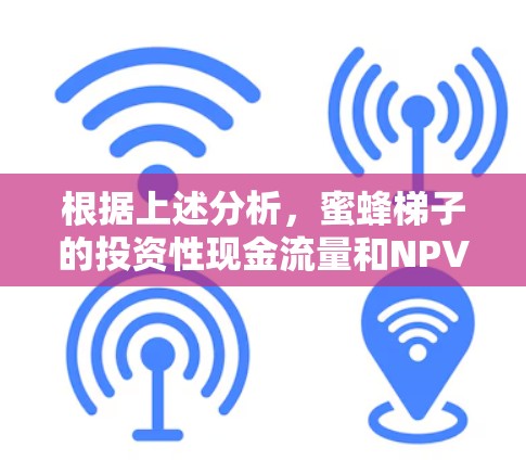 根据上述分析，蜜蜂梯子的投资性现金流量和NPV计算需要详细的数据和分析。以下是逐步解释