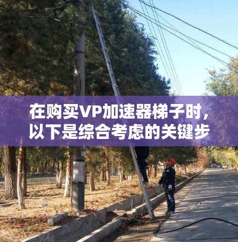 在购买VP加速器梯子时，以下是综合考虑的关键步骤和建议