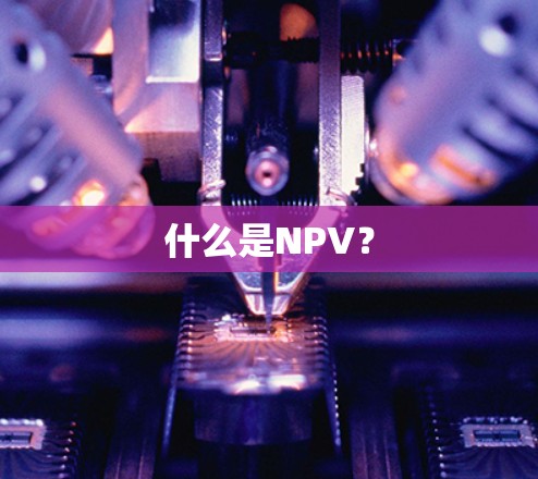 什么是NPV？