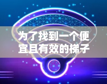 为了找到一个便宜且有效的梯子加速器,我进行了以下分析