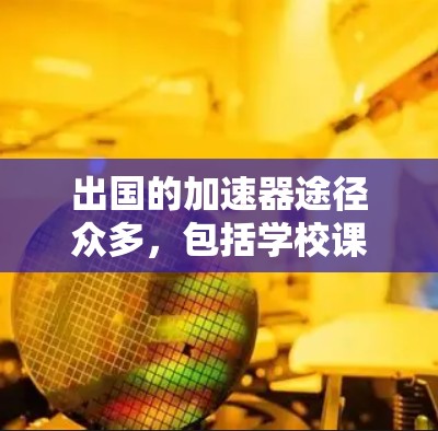 出国的加速器途径众多，包括学校课程、工作项目、社区项目、移民积分卡、移民认证以及国际学生和移民积分卡。以下是对每个途径的详细说明