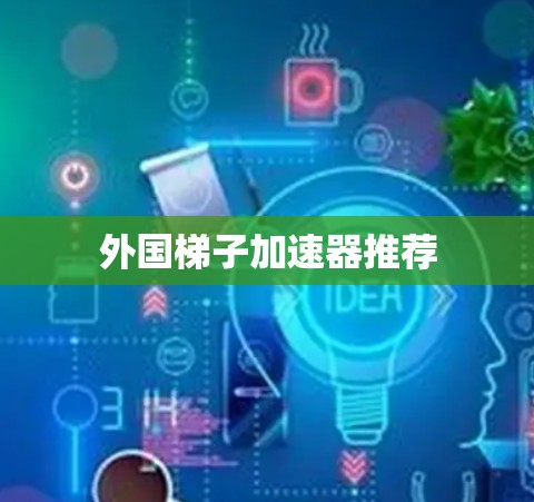 外国梯子加速器推荐
