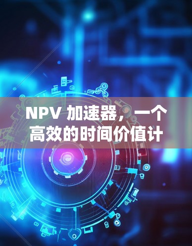 NPV 加速器,一个高效的时间价值计算工具 NPV 加速器,一个高效的时间价值计算工具