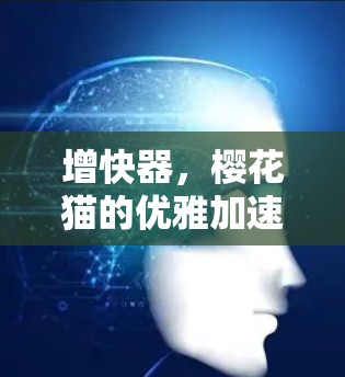 增快器，樱花猫的优雅加速
