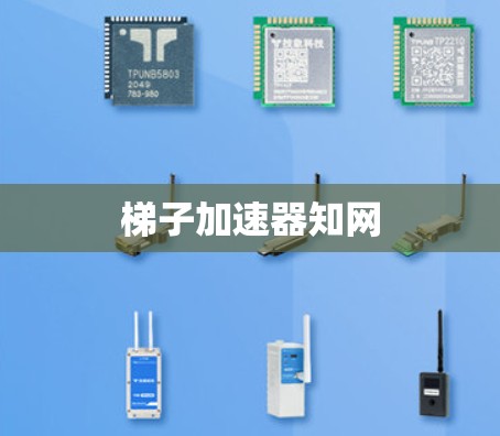 梯子加速器知网
