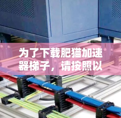 为了下载肥猫加速器梯子，请按照以下步骤操作