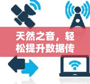 天然之音，轻松提升数据传输速度，加速器梯子带你进
