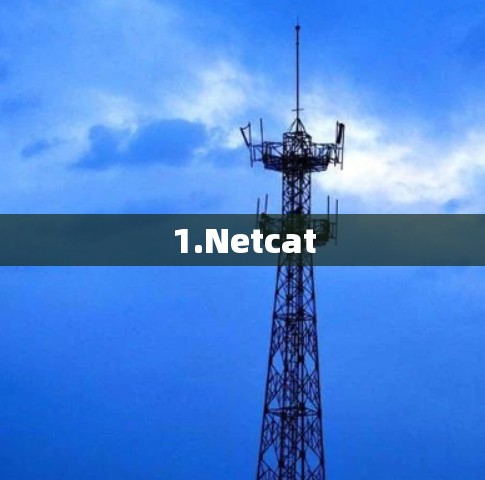 1.Netcat
