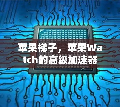 苹果梯子，苹果Watch的高级加速器