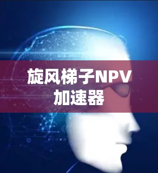 旋风梯子NPV加速器