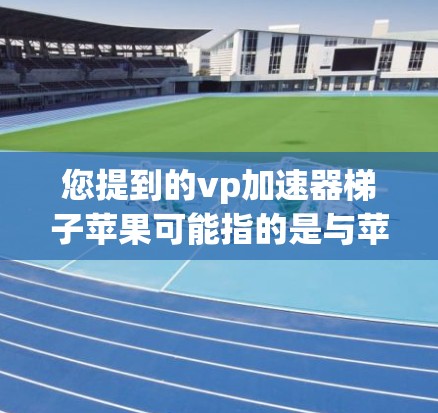 您提到的vp加速器梯子苹果可能指的是与苹果设备相关的加速工具。在苹果设备上,常见的加速工具包括
