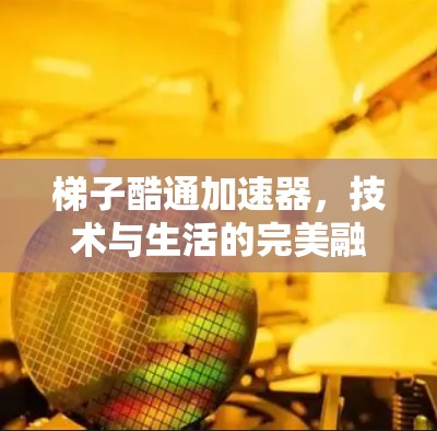 梯子酷通加速器，技术与生活的完美融合