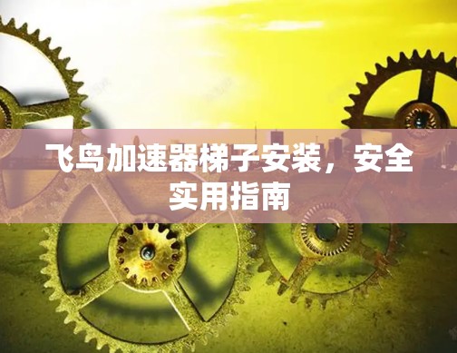 飞鸟加速器梯子安装，安全实用指南