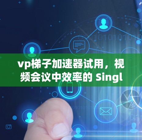 vp梯子加速器试用，视频会议中效率的 Singleton