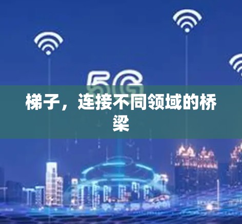 梯子，连接不同领域的桥梁