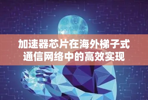 加速器芯片在海外梯子式通信网络中的高效实现