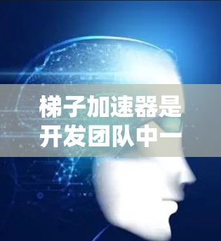 梯子加速器是开发团队中一种实用的工具,它通过高效的管理、自动化流程和协作等多方面的优势,显著提升了开发效率和团队协作能力。以下是梯子加速器的优点