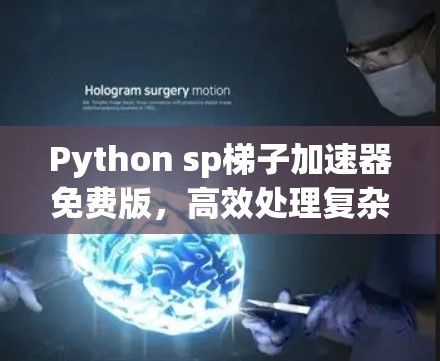 Python sp梯子加速器免费版,高效处理复杂模型的便捷选择