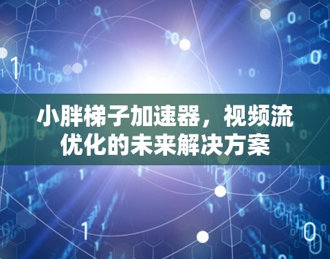 小胖梯子加速器，视频流优化的未来解决方案