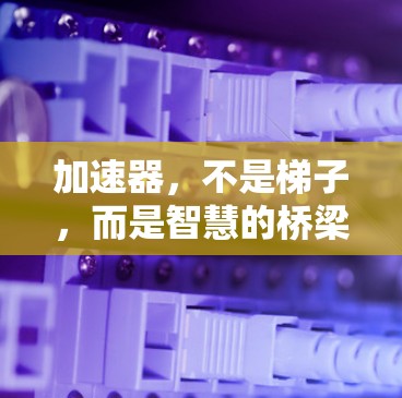 加速器，不是梯子，而是智慧的桥梁