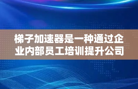 梯子加速器是一种通过企业内部员工培训提升公司整体效率和生产力的战略工具。以下是对如何实施梯子加速器的详细步骤和解释