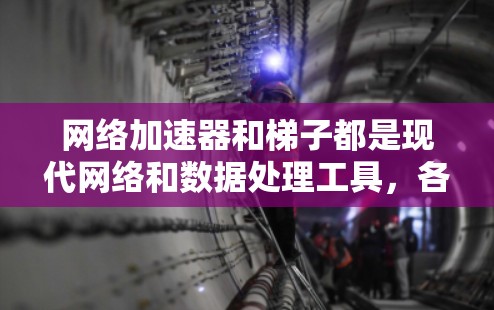 网络加速器和梯子都是现代网络和数据处理工具,各自有不同的功能和适用场景。以下是对它们的详细介绍和对比