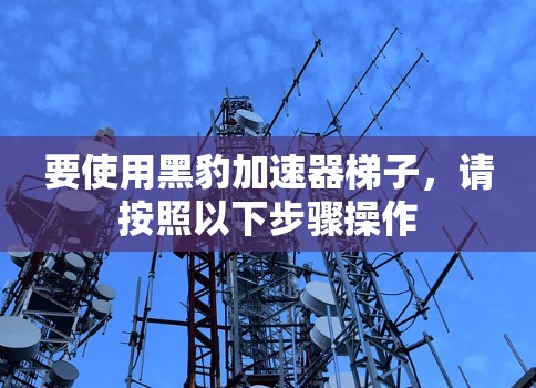 要使用黑豹加速器梯子，请按照以下步骤操作