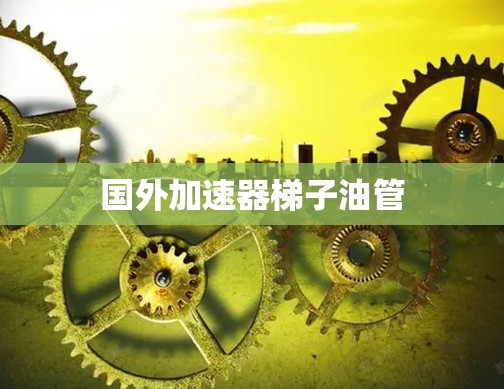 国外加速器梯子油管