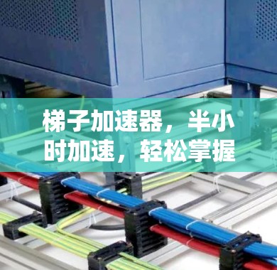 梯子加速器，半小时加速，轻松掌握网络速度