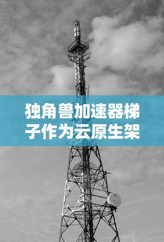 独角兽加速器梯子作为云原生架构中的关键组件，为模型训练带来了显著的优势。以下是对其功能的详细解析